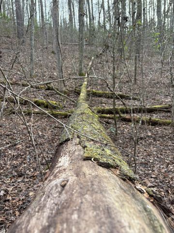 0 Maple Springs Road, Tellico Plains, TN 37385