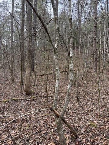 0 Maple Springs Road, Tellico Plains, TN 37385