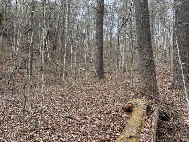 0 Maple Springs Road, Tellico Plains, TN 37385