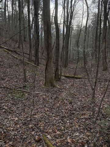 0 Maple Springs Road, Tellico Plains, TN 37385