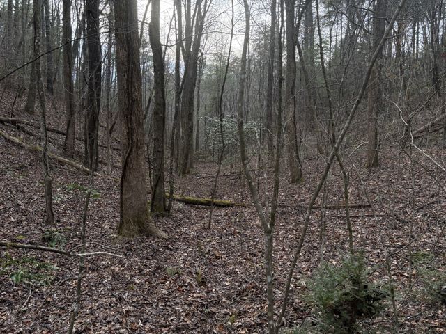 0 Maple Springs Road, Tellico Plains, TN 37385