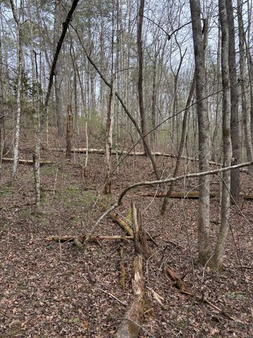0 Maple Springs Road, Tellico Plains, TN 37385
