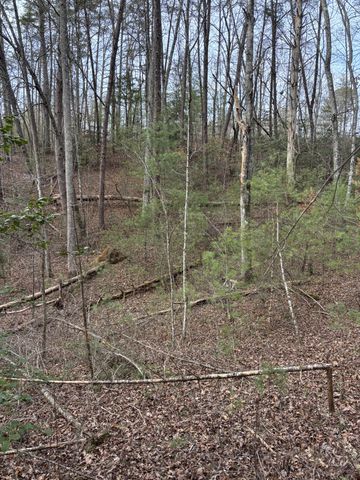 0 Maple Springs Road, Tellico Plains, TN 37385