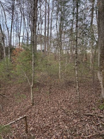 0 Maple Springs Road, Tellico Plains, TN 37385