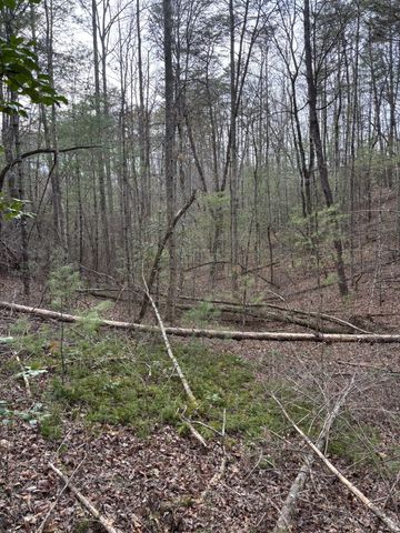 0 Maple Springs Road, Tellico Plains, TN 37385