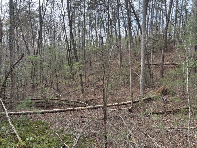 0 Maple Springs Road, Tellico Plains, TN 37385