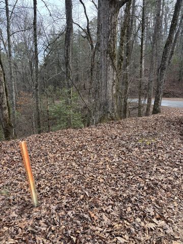 0 Maple Springs Road, Tellico Plains, TN 37385