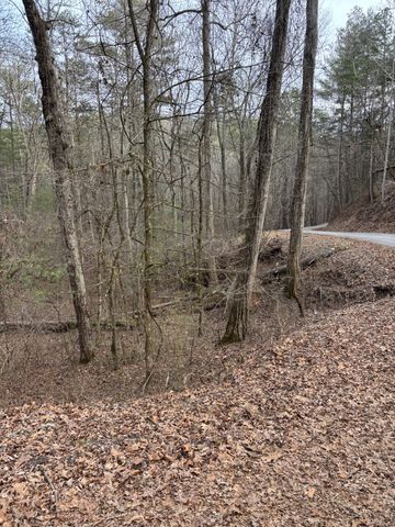 0 Maple Springs Road, Tellico Plains, TN 37385
