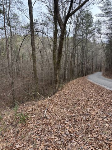 0 Maple Springs Road, Tellico Plains, TN 37385