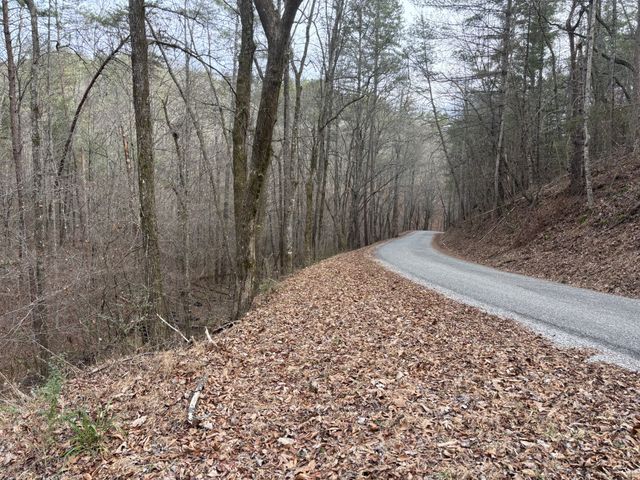 0 Maple Springs Road, Tellico Plains, TN 37385