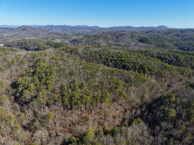 0 Maple Springs Road, Tellico Plains, TN 37385