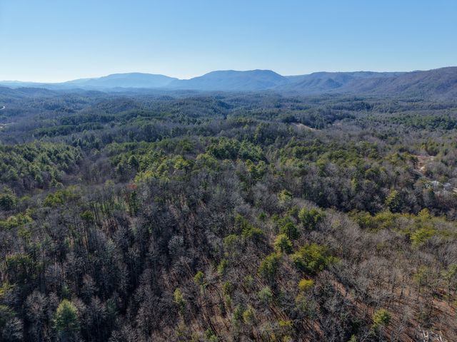 0 Maple Springs Road, Tellico Plains, TN 37385