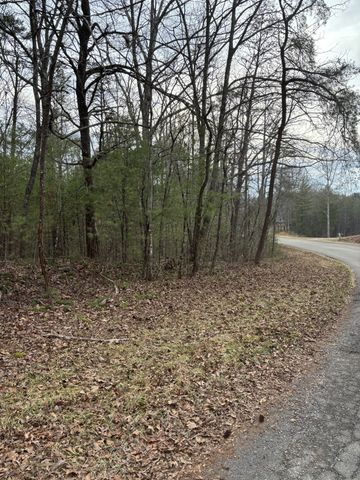 0 Maple Springs Road, Tellico Plains, TN 37385