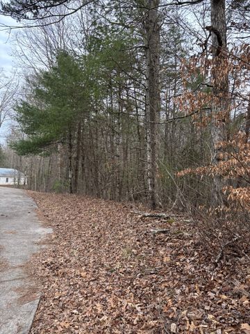 0 Maple Springs Road, Tellico Plains, TN 37385