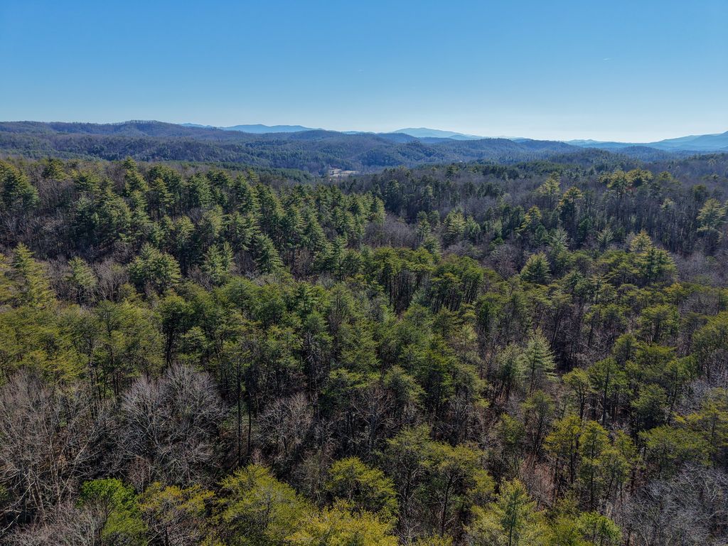 0 Maple Springs Road, Tellico Plains, TN 37385