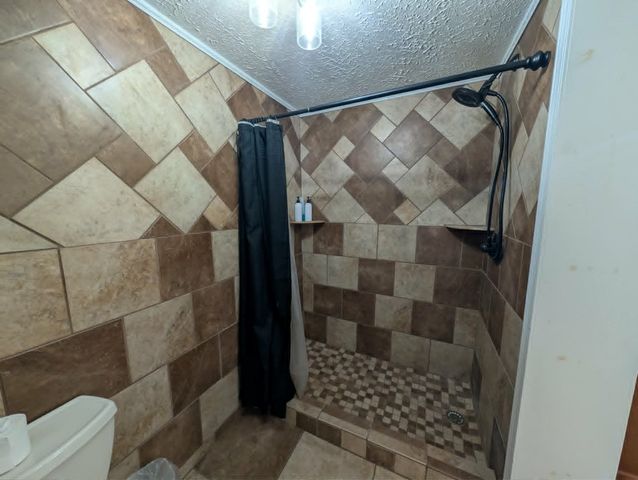 100 Windy Valley Lane, Blue Ridge, GA 30513