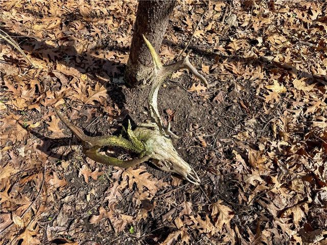 19209 Santa Fe Trail, Leavenworth, KS 66048