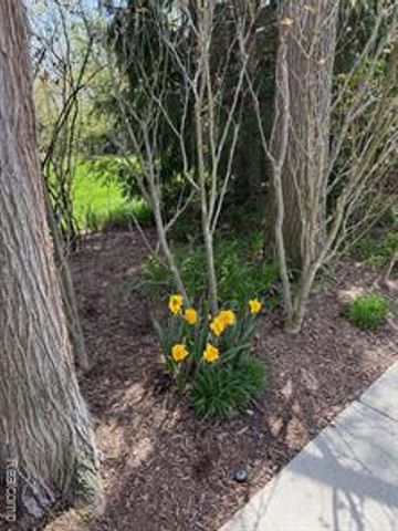 12959 Talbot Lane, Huntington Woods, MI 48070