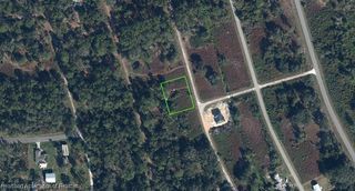 1038 Redbird Street, Lake Placid, FL 33852