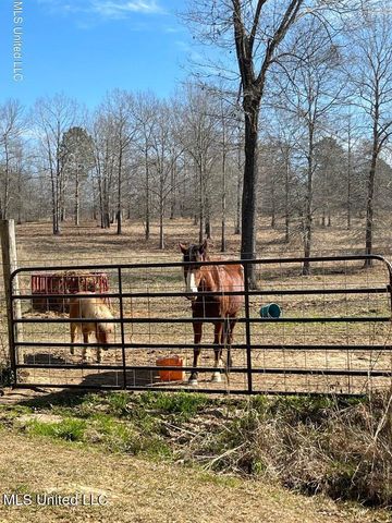 1314 Ashley Road, Brandon, MS 39042
