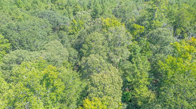 TBD Hereford Trail, Huntsville, TX 77340