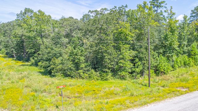 TBD Hereford Trail, Huntsville, TX 77340