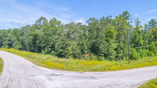 TBD Hereford Trail, Huntsville, TX 77340