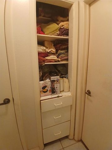 4031 TUMBLE WOOD TRAIL 204, Tampa, FL 33613