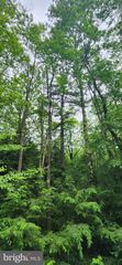 YOUGH VIEW DR #12, Oakland, MD 21550