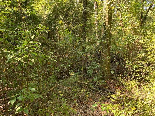 0 Parramore Shores Road, Tallahassee, FL 32310