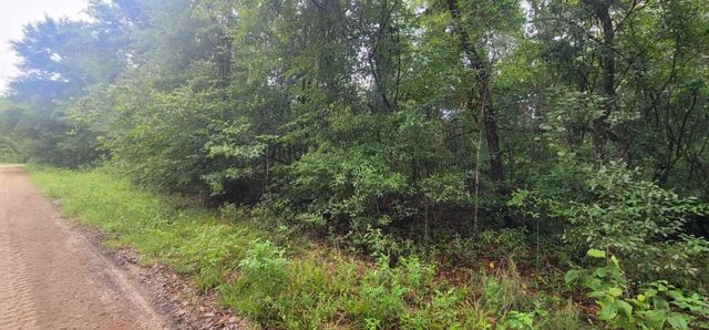 0 Parramore Shores Road, Tallahassee, FL 32310