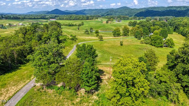 148 Walker Cemetery Road, Bulls Gap, TN 37711