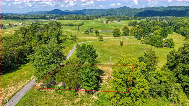 148 Walker Cemetery Road, Bulls Gap, TN 37711