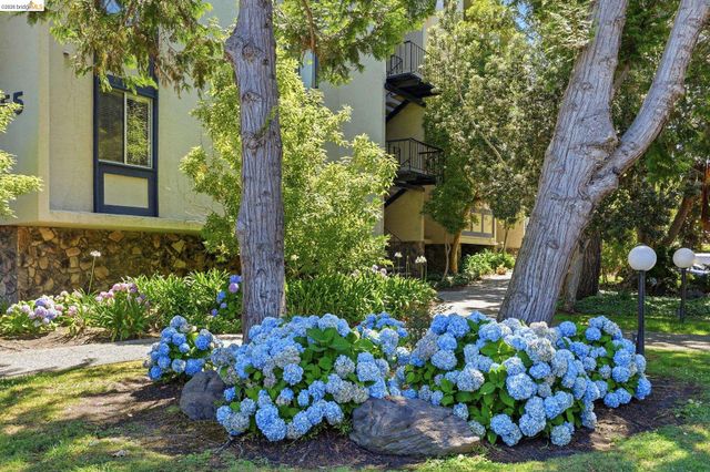 955 Shorepoint Ct 208, Alameda, CA 94501