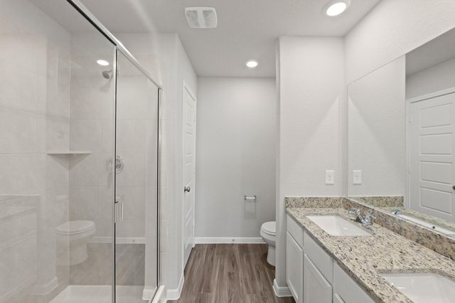 15602 Coneflower Hills Drive, Houston, TX 77090