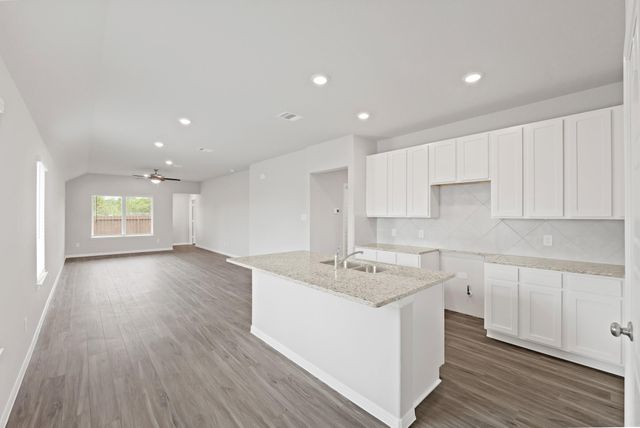 15602 Coneflower Hills Drive, Houston, TX 77090