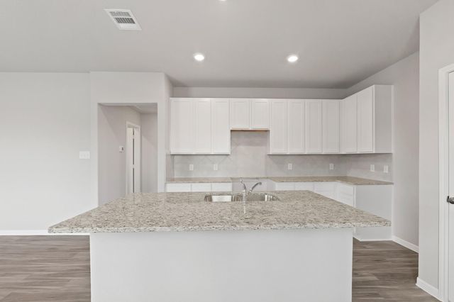 15602 Coneflower Hills Drive, Houston, TX 77090