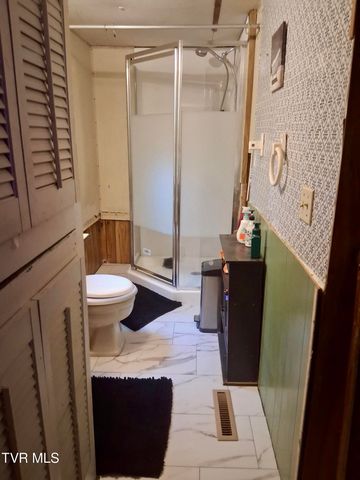 102 Tolley Lane, Erwin, TN 37650
