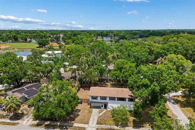 1003 W RIVER HEIGHTS AVENUE, Tampa, FL 33603
