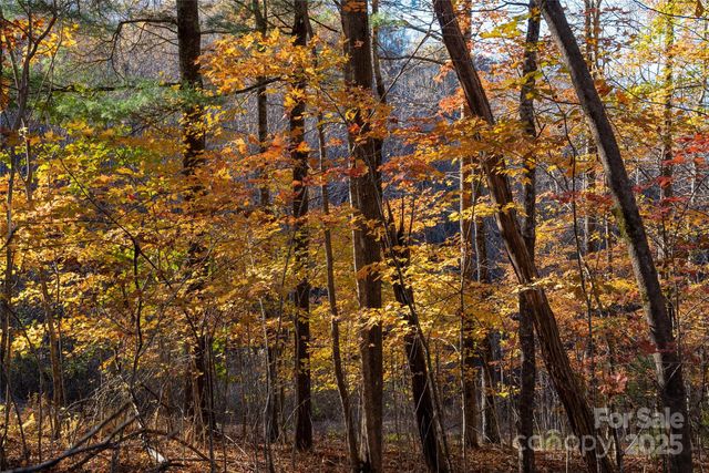 Lot 342 Severy Lane 342-A, Brevard, NC 28712