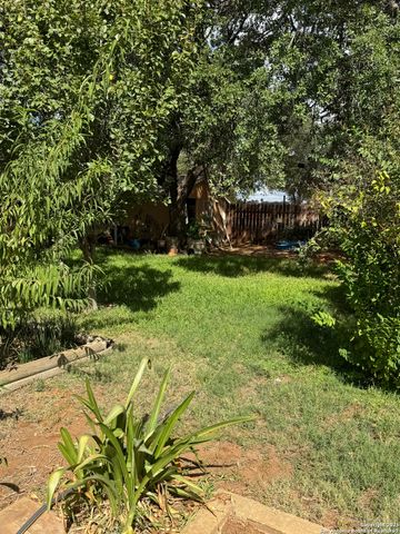 363 William, Pearsall, TX 78061