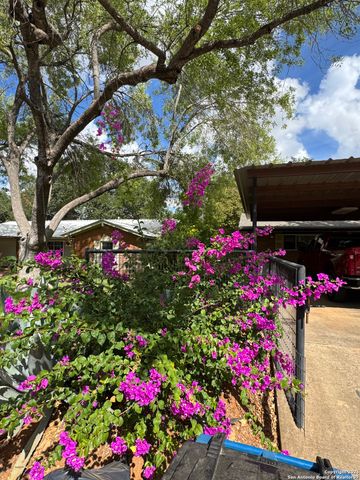 363 William, Pearsall, TX 78061