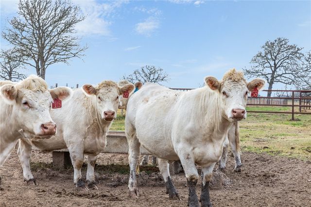 16316 County Road 436, Somerville, TX 77879