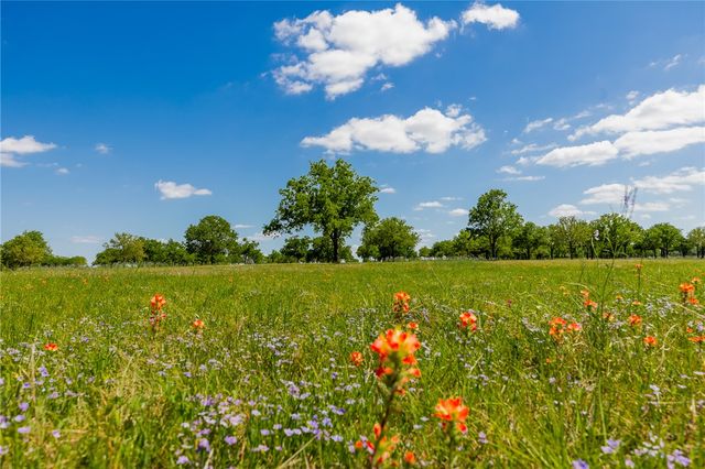 16316 County Road 436, Somerville, TX 77879