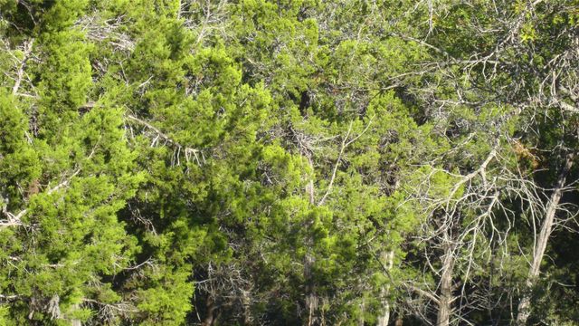 13904 & 13902 Saskatchewan DR, Austin, TX 78734