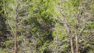 13904 & 13902 Saskatchewan DR, Austin, TX 78734