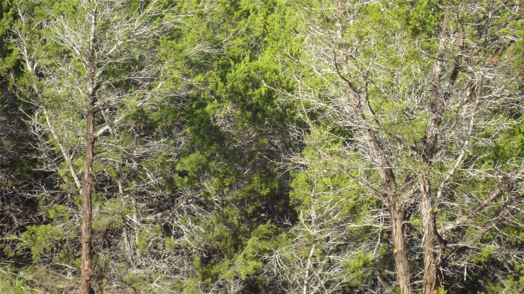 13904 & 13902 Saskatchewan DR, Austin, TX 78734