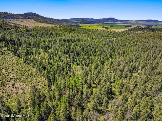 770 Crestview Ln, Plummer, ID 83851