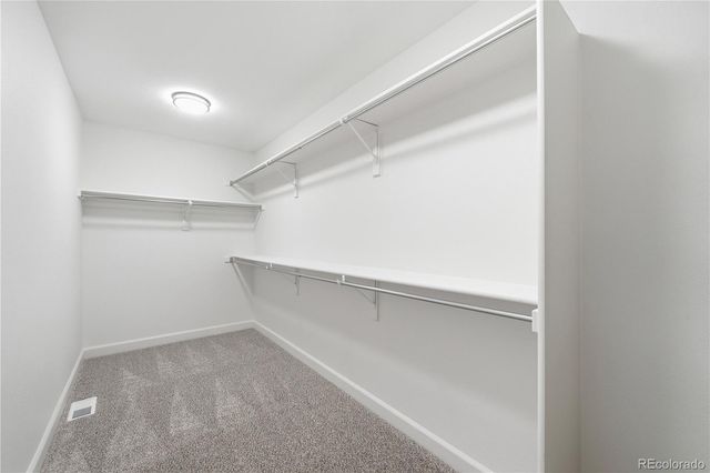 3885 Aspen Hollow Court, Castle Rock, CO 80104