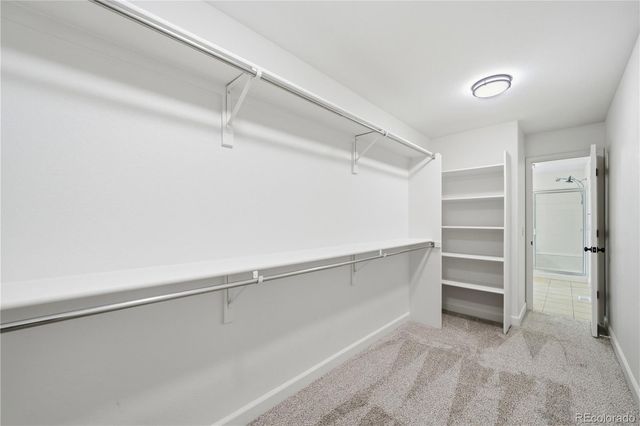 3885 Aspen Hollow Court, Castle Rock, CO 80104